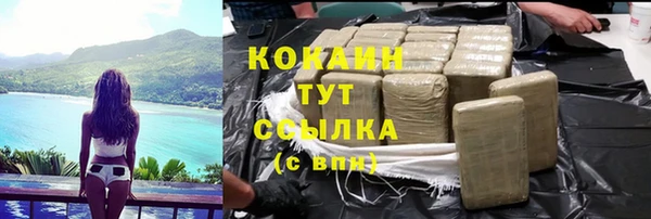 крисы Лагань