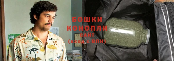 дмт Лиски
