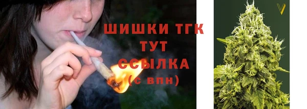 крисы Лагань