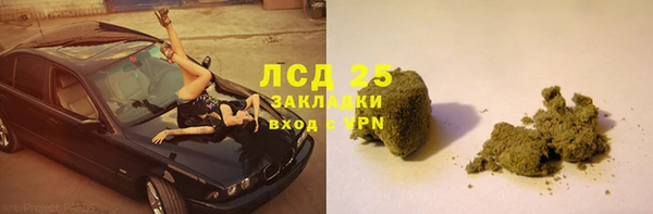 PSILOCYBIN Кострома