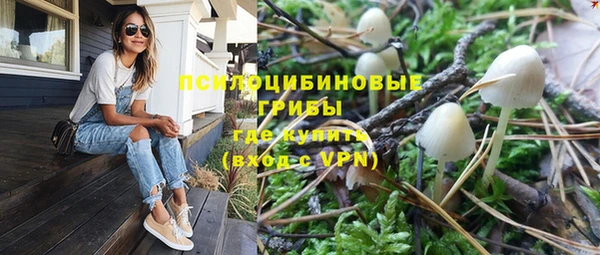Альфа ПВП Ладушкин