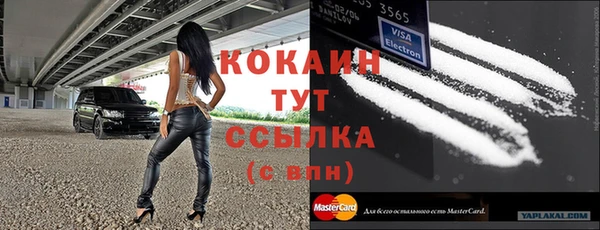 крисы Лагань