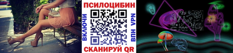 Галлюциногенные грибы Psilocybe  Поворино 